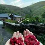 Lar Da Cima