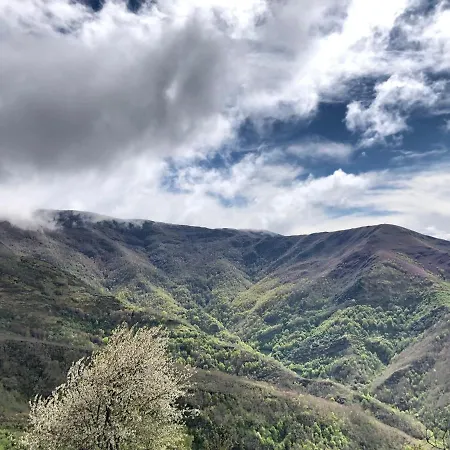 Lar Da Cima