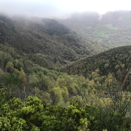 Lar Da Cima Feriehus Folgoso do Courel