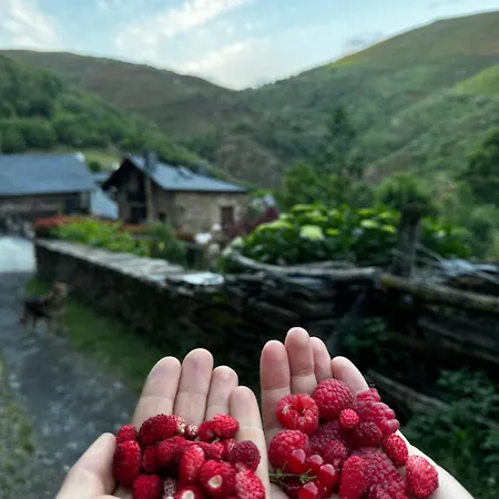 Lar Da Cima