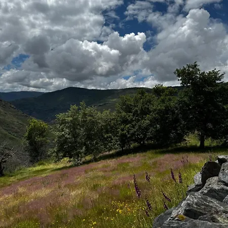 Holiday home Lar Da Cima Folgoso do Courel