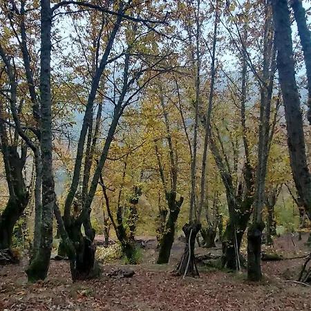 Feriehus Lar Da Cima