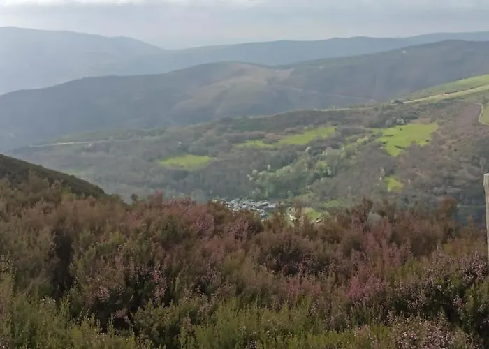 Lar Da Cima Nyaraló *