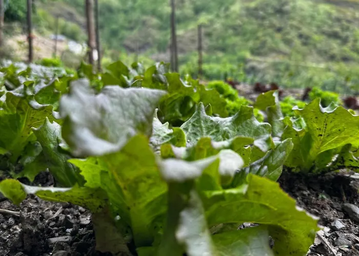 Lar Da Cima Σπίτι διακοπών *