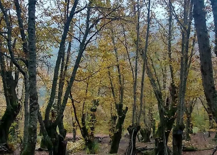 Σπίτι διακοπών Lar Da Cima